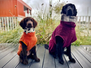 Wackeldackel-Manufaktur